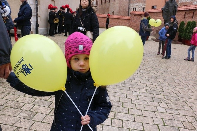 II Małopolski Marsz "Rodzinie i Życiu Tak!"