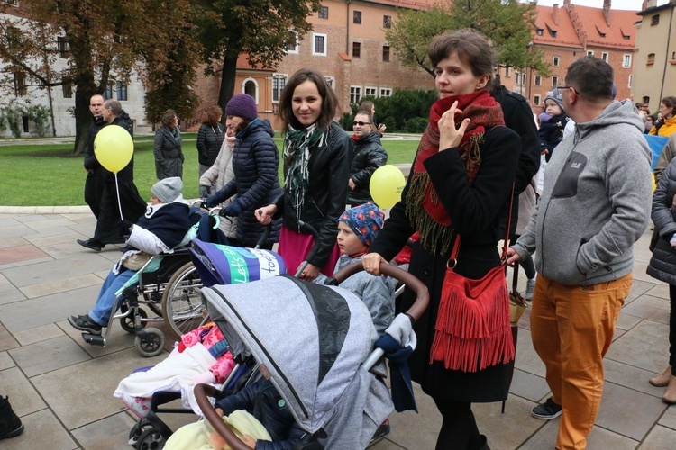 II Małopolski Marsz "Rodzinie i Życiu Tak!"