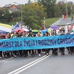 Marsz dla Życia i Rodziny