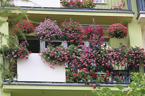 ▲	Balkon Zenony i Tadeusza Herdzików. 