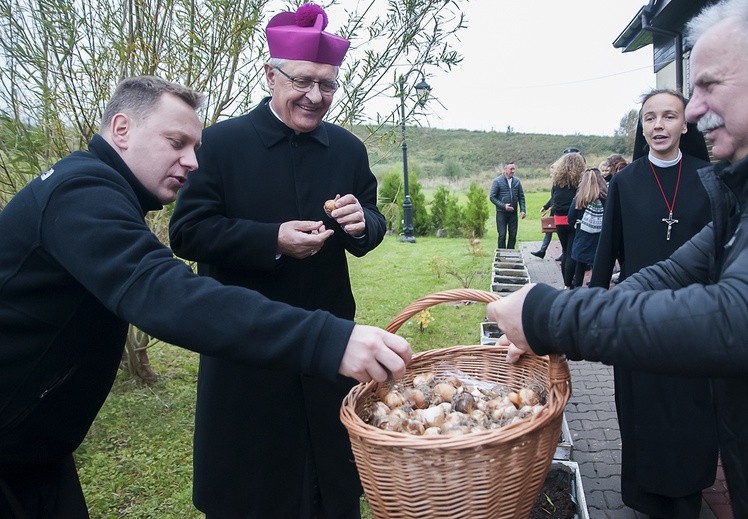 Pola Nadziei w Darłowie