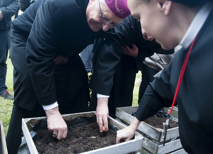 Pola Nadziei w Darłowie