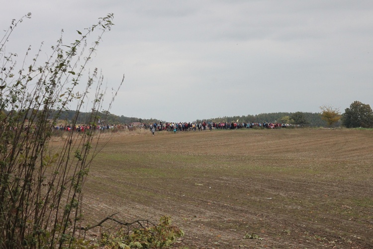 Pielgrzymka trzebnicka 2017 - cz. 16