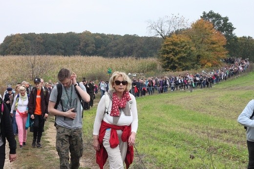 Pielgrzymka trzebnicka 2017 - cz. 16