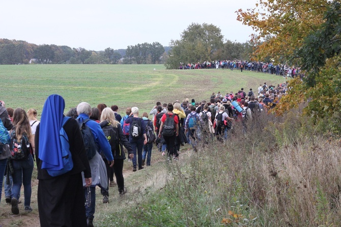 Pielgrzymka trzebnicka 2017 - cz. 16