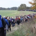 Pielgrzymka trzebnicka 2017 - cz. 16