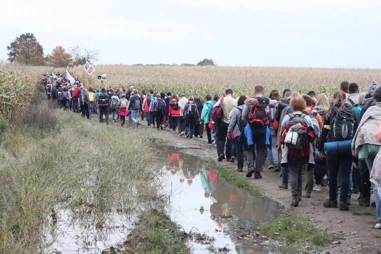 Pielgrzymka trzebnicka 2017 - cz. 16