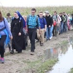 Pielgrzymka trzebnicka 2017 - cz. 16