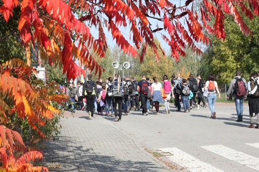 Pielgrzymka trzebnicka 2017 - cz. 16