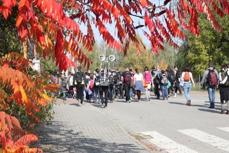 Pielgrzymka trzebnicka 2017 - cz. 16