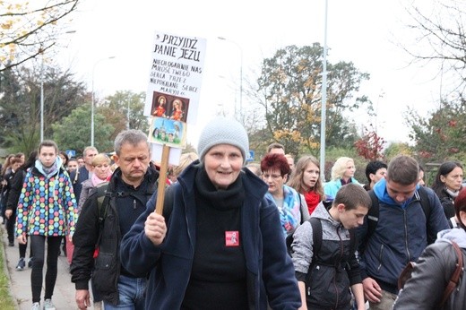 Pielgrzymka trzebnicka 2017 - cz. 4