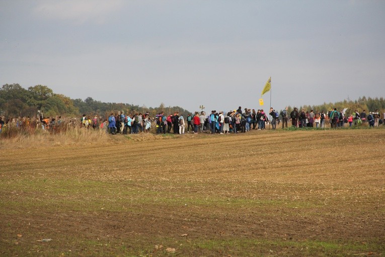 Pielgrzymka trzebnicka 2017 - cz. 10