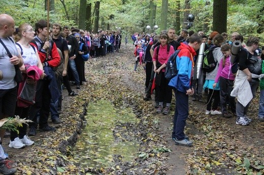 Pielgrzymka trzebnicka 2017 - cz. 10