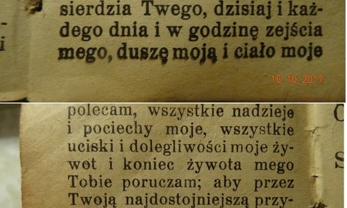 Polecenie siebie N. M. Pannie