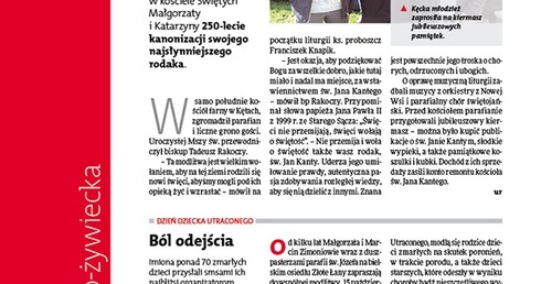 Gość Bielsko-Żywiecki 42/2017