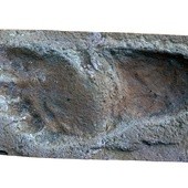Najstarsze znane ślady przodków człowieka zachowały się w Trachilos i mają 5,7 mln lat.