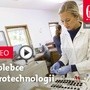 Zwiastun najnowszego „Gościa”