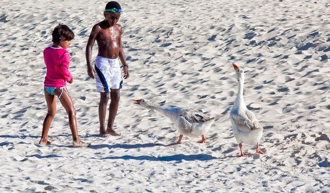 Plaża w Puerto Rico długo nie zobaczy turystów