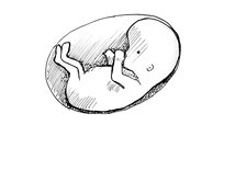 Numer 1 i 2 na świecie