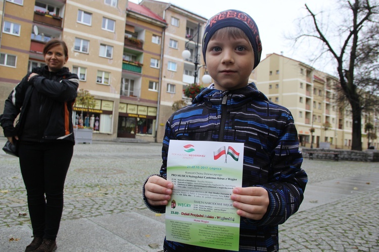 Odsłonięcie polsko-węgierskiej tablicy pamiątkowej