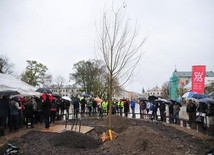 Nowy "Baobab" i kapsuła czasu, którą mieszkańcy Lublina odkopią w 2117 r. (GALERIA ZDJĘĆ)