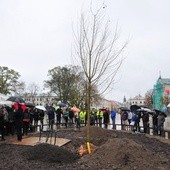 Nowy "Baobab" i kapsuła czasu, którą mieszkańcy Lublina odkopią w 2117 r. (GALERIA ZDJĘĆ)