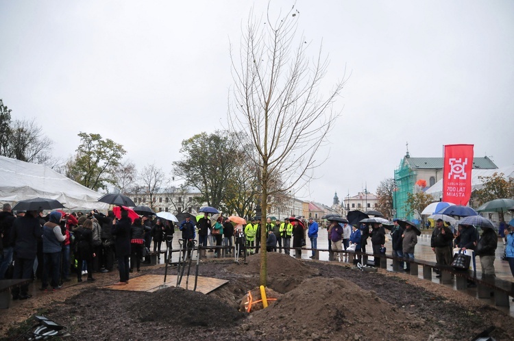 Nowy "Baobab" na placu Litewskim