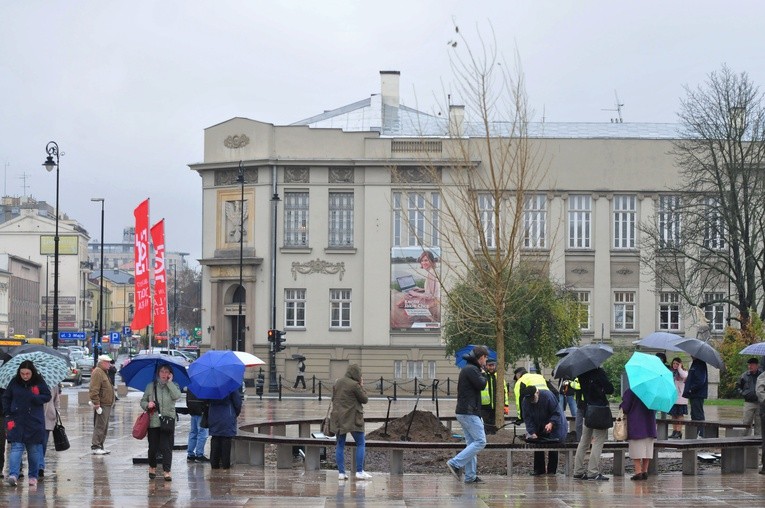 Nowy "Baobab" na placu Litewskim
