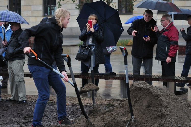 Nowy "Baobab" na placu Litewskim