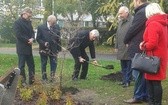 Pomnik Hipokratesa w Katowicach