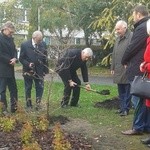 Pomnik Hipokratesa w Katowicach