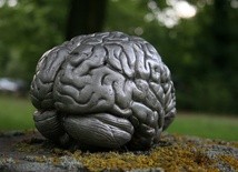 Myślisz, że choroby mózgu cię nie dotyczą?