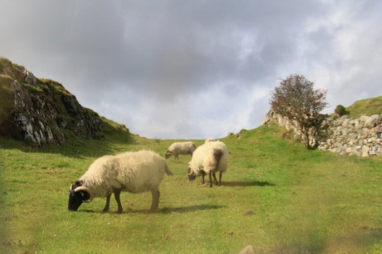 Connemara: tajemnice, cuda, radości