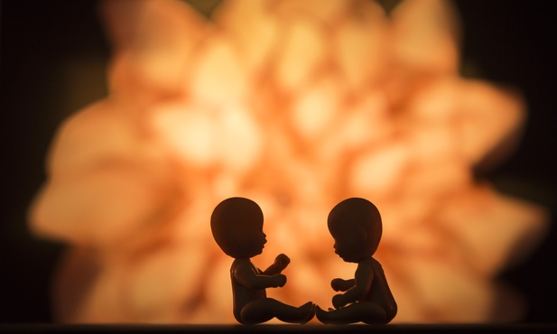 Lewica nie zatrzyma się na aborcji na życzenie