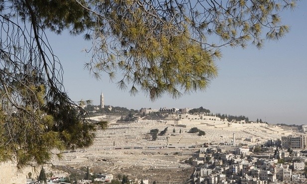 #Bedeker różańcowy