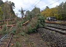 Bez prądu nadal 26 tys. odbiorców