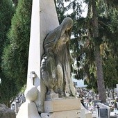 	Nagrobna figura kobiety to jeden z najciekawszych pomników na cmentarzu w Krzczonowie.