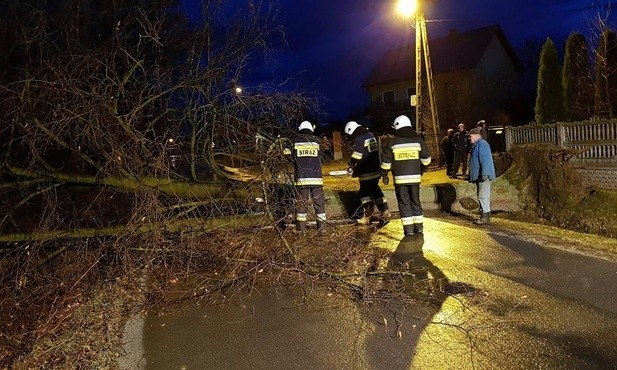 U nas "Grzegorz" nie taki straszny 