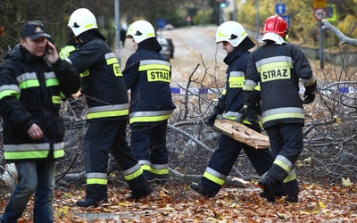 U nas "Grzegorz" nie taki straszny 