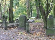 Cmentarz ewangelicki w Gostyninie
