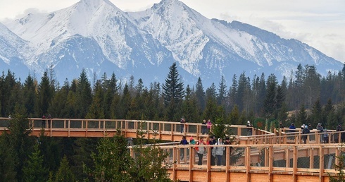 Listopadowy spacer w koronie drzew