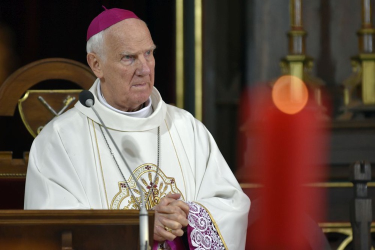 Strzegom - Obchody Narodowego Święta Niepodległości