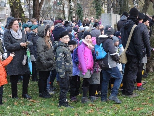 Święto Niepodległości w Bielsku-Białej - 2017