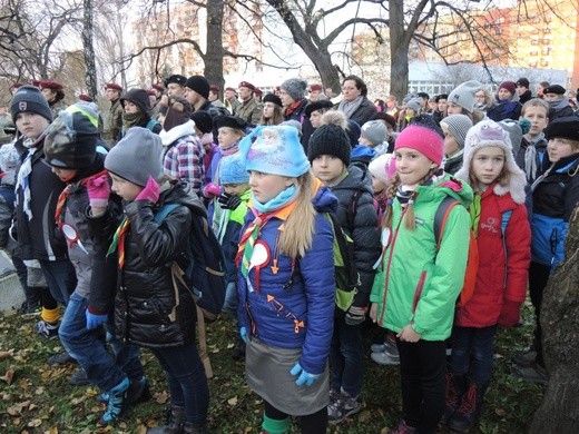 Święto Niepodległości w Bielsku-Białej - 2017