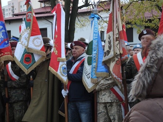 Święto Niepodległości w Bielsku-Białej - 2017