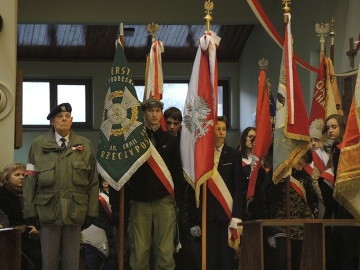 Święto Niepodległości w Bielsku-Białej - 2017