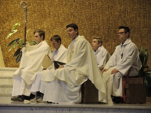 Święto Niepodległości w Bielsku-Białej - 2017