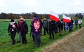 Śląskie Camino w Święto Niepodległości