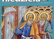 Niedziela 45/2017