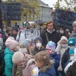 "Dzień Czystego Powietrza" w Pszczynie